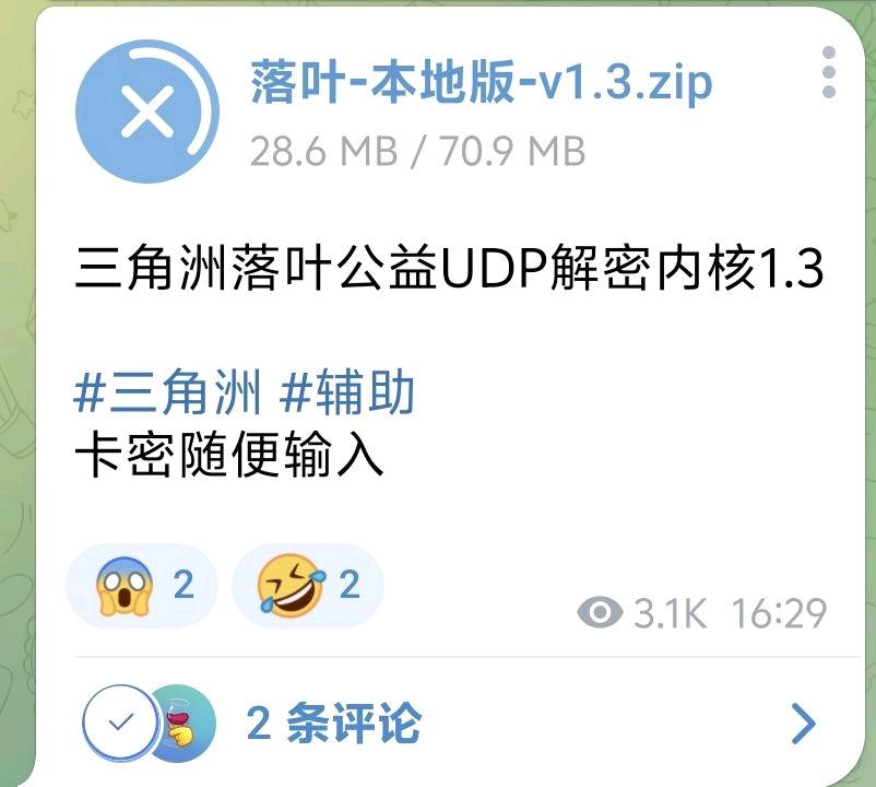 三角洲落叶公益UDP解密内核1.3功能截图1