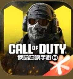 使命召唤灰灰国服公益裸奔功能2.2