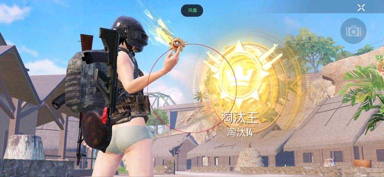 PUBG凤凰v2容器直装功能截图1