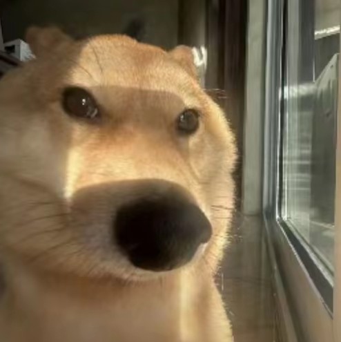 ??花