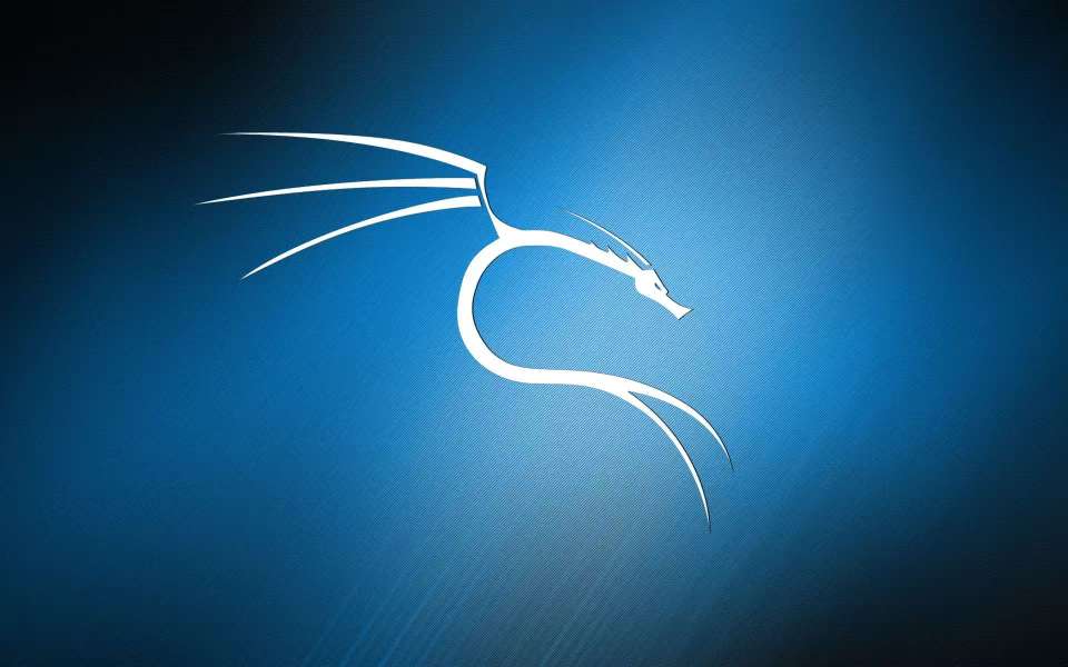 黑客必备Kali Linux系统安装教程(含系统下载) - 帖子图片1