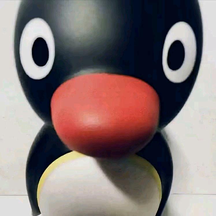 风用户头像
