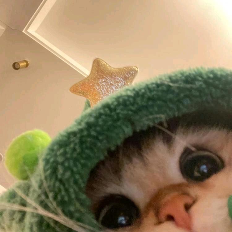 这个人没有昵称用户头像