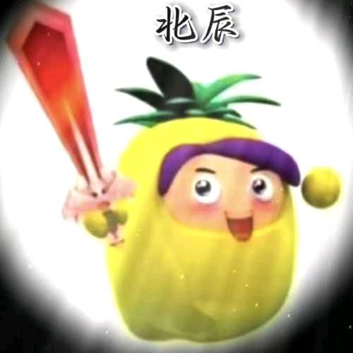 菠萝吹雪-北辰用户头像