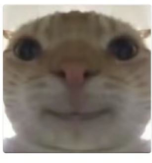 鼠鼠